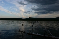 Jaurekaska