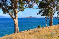 SevenMileBeach