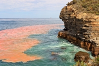 PiratesBay