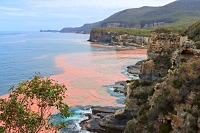 PiratesBay