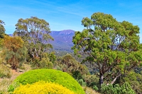 kunanyi/MountWellington