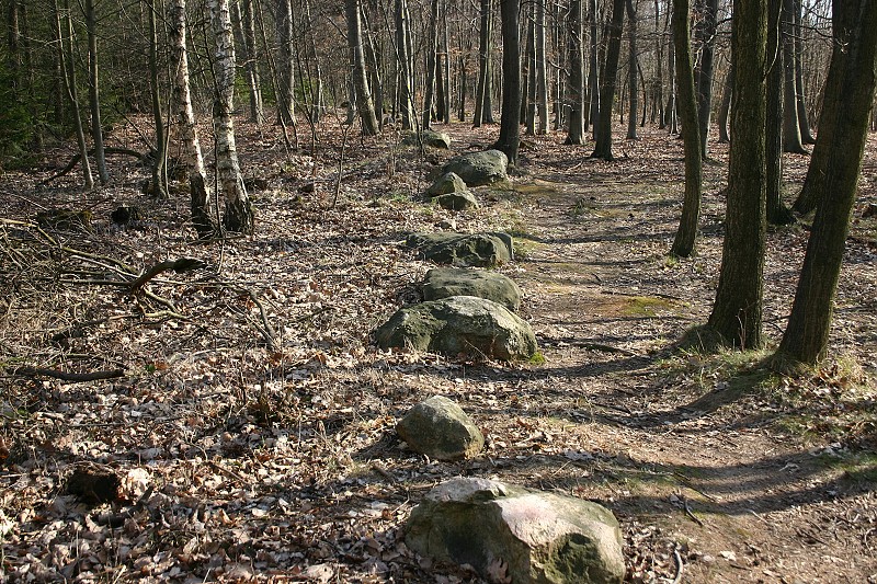 Kamenné řady u Kounova.