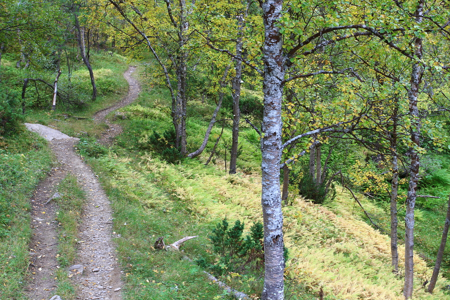 Lyngsdalen
