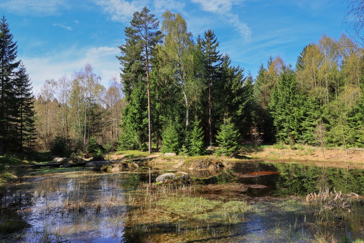 Štrpské pleso pod Havlovou horou