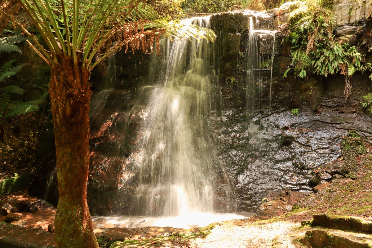 Silver Falls