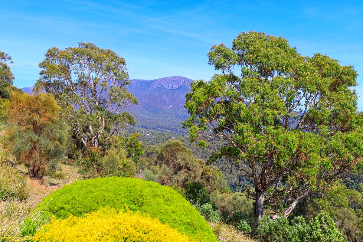 kunanyi / Mount Wellington