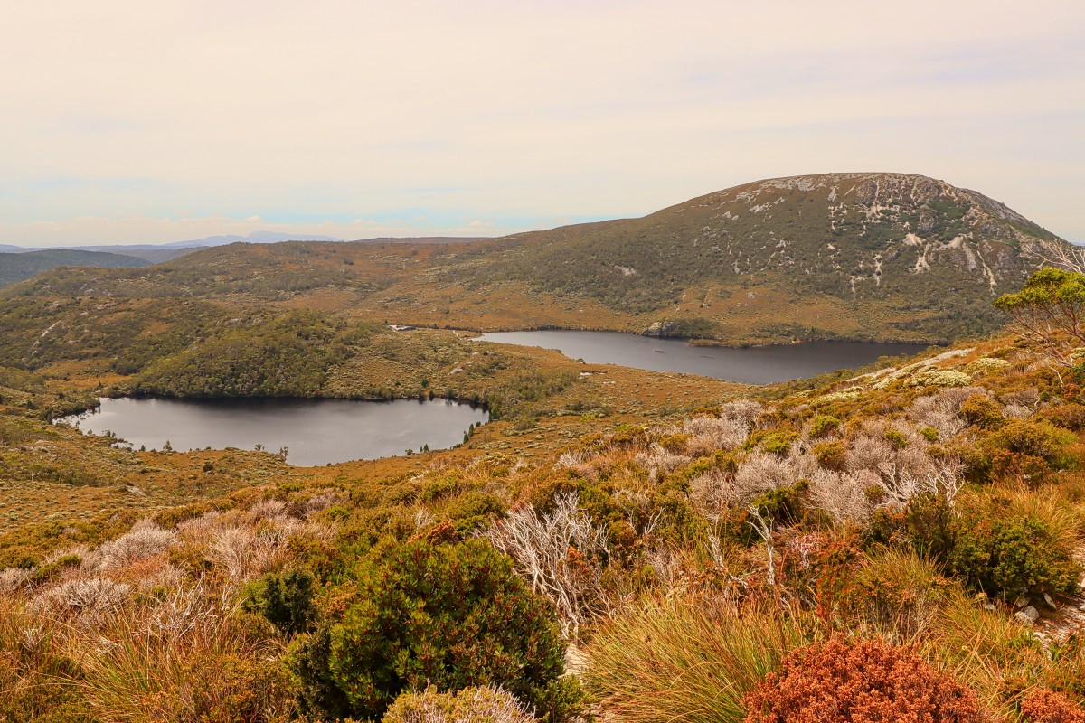 Cradle Mountain
