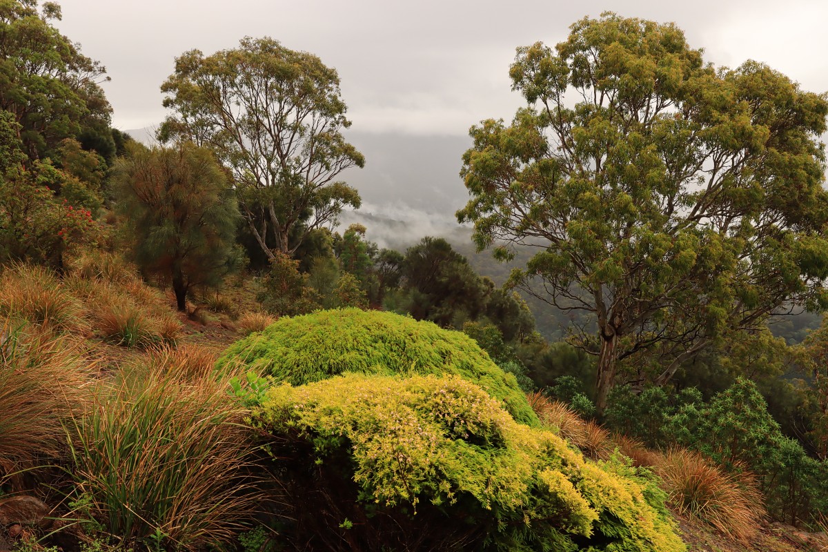 kunanyi / Mount Wellington